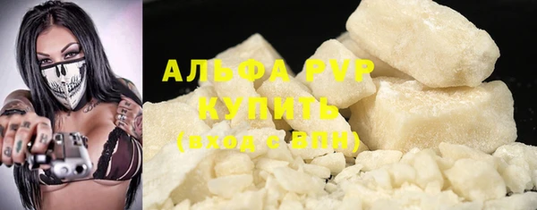 индика Заводоуковск