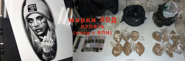 индика Заводоуковск