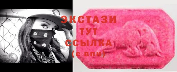 индика Заводоуковск
