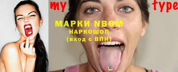 индика Заводоуковск