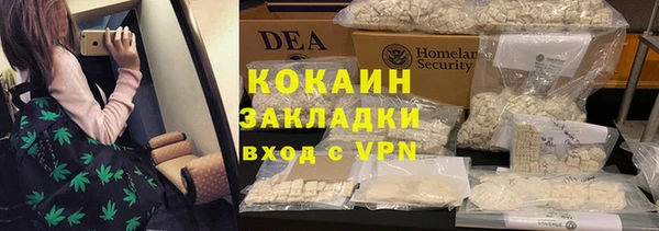 индика Заводоуковск