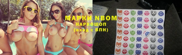 индика Заводоуковск