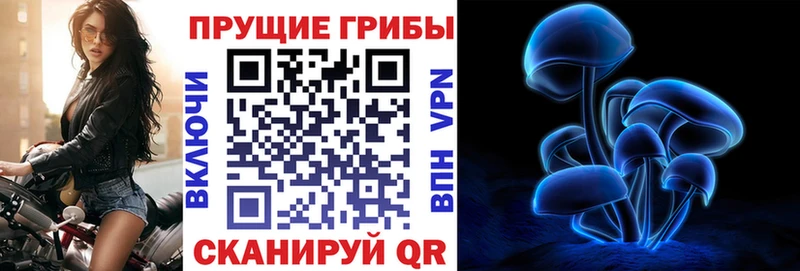 Псилоцибиновые грибы Psilocybine cubensis  Певек 